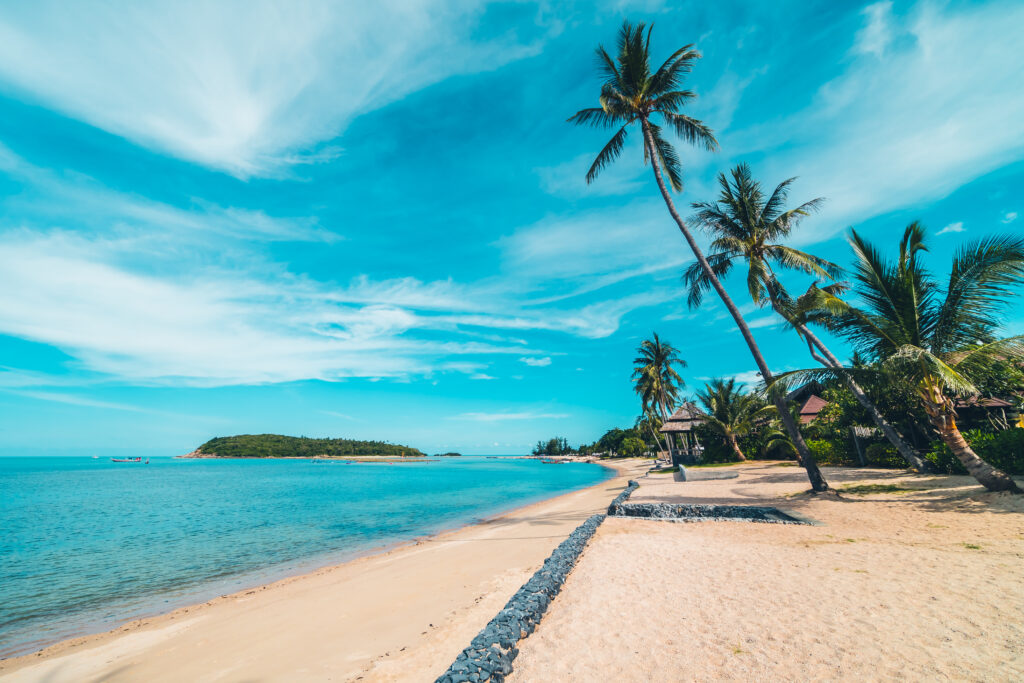 Beautiful tropical beach sea and sand with coconut palm tree on