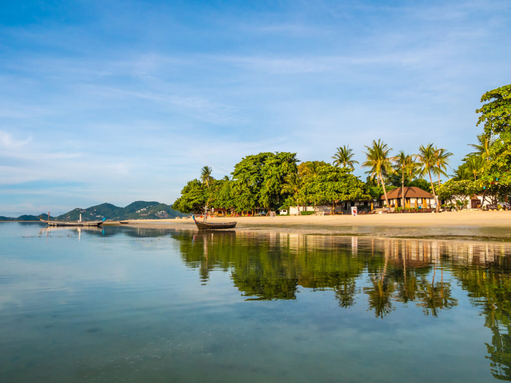 Beautiful tropical beach and sea with coconut palm tree