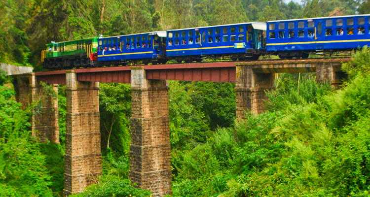 ooty-toy-train-mountain-railway-india-tourism-photo-gallery